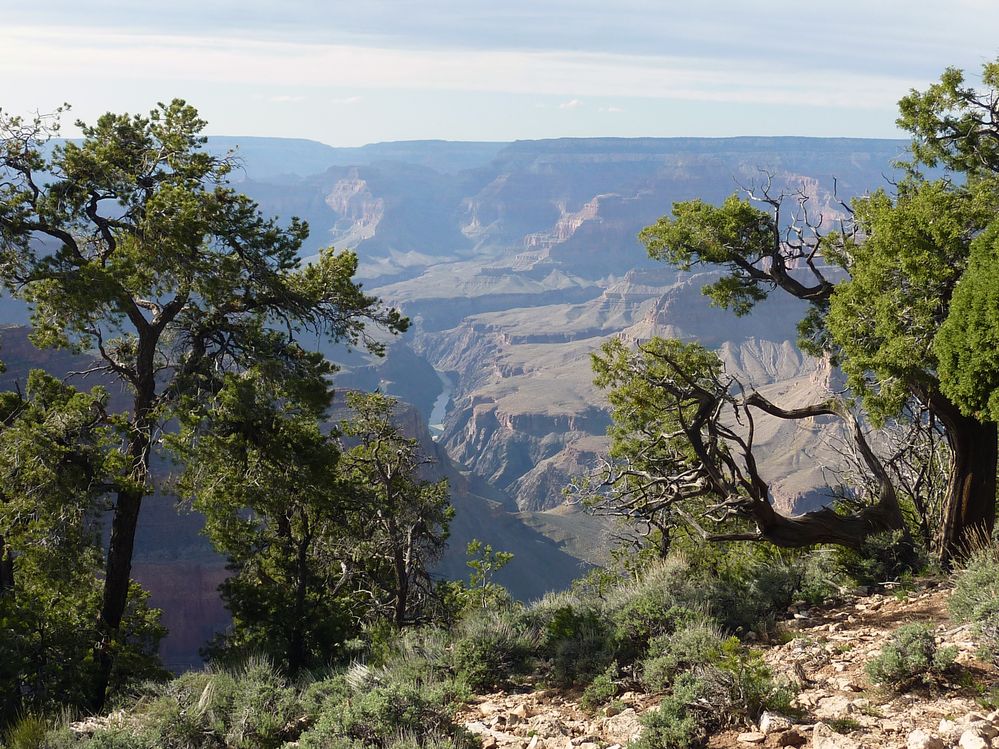 grand canyon rive sud (100).JPG
